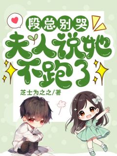 (抖音小说)林盛夏段聿川小说全文阅读免费-暗夜阅读网