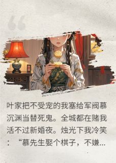 叶辞慕沉渊是什么小说免费版阅读抖音热文