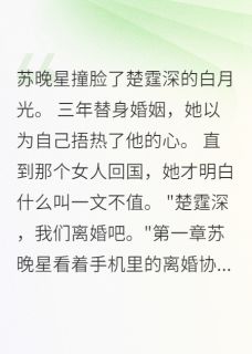 替身妻子癌症晚期要逃婚楚霆深苏晚星小说全文章节阅读