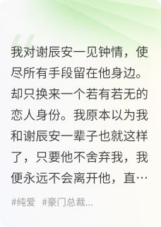 追上白月光后，他的白月光回国了谢辰安齐遇全章节在线阅读
