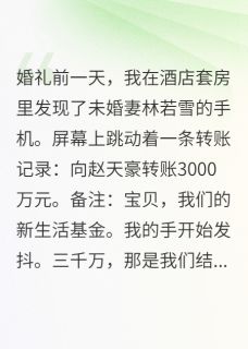 苏晴林若雪江寒是哪部小说的主角 苏晴林若雪江寒全文阅读