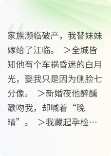 老书虫力荐不是替身的故事免费无弹窗阅读-暗夜阅读网