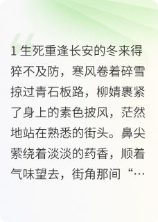 替嫁医女之爱续长安无广告阅读 柳婧宇文邕免费在线阅读