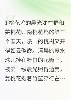 书荒必备沈在野姜桃花小说-暗夜阅读网