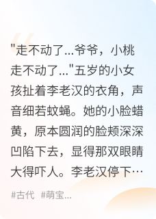 天降福宝，旺李家小说的书名是什么