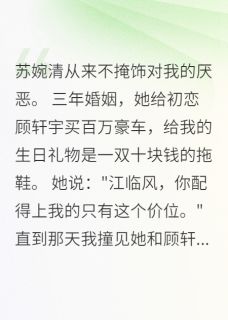 火葬场，她后悔已经晚了小说(完结)-苏婉清临风顾轩宇无删减阅读
