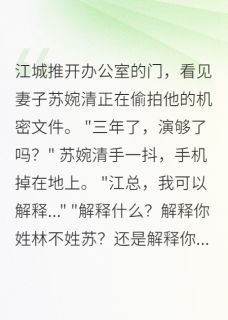 快手豪门假妻，三年骗局终曝光小说全本章节大结局