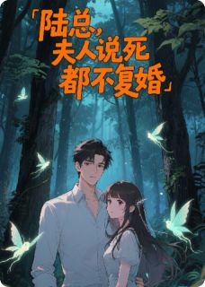 陆沉舟苏晚全章节阅读-陆总，夫人说死都不复婚全文分享阅读-暗夜阅读网