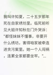 爆款小说绣坊开业第一天赚了三十两在线阅读-许知夏秋绣坊免费阅读