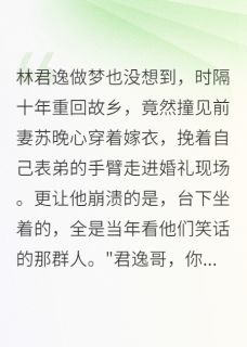 爆款热文林君逸苏晚心在线阅读-前妻披婚纱，我却后悔得想死全章节列表