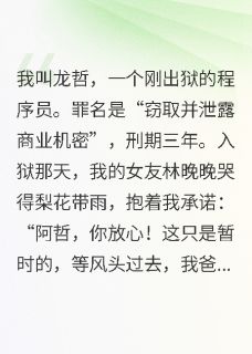 (精品)我替女友顶罪,她转嫁豪门小说