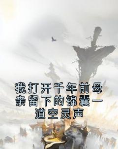 书荒必备我打开千年前母亲留下的锦囊一道空灵声全文章节阅读