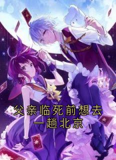 江婷叶路是哪部小说的主角 父亲临死前想去一趟北京全文无弹窗