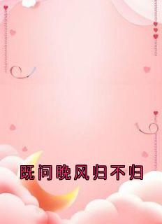 最完整版既问晚风归不归热门连载小说
