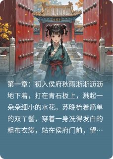 朱门深院锁清秋苏晚陆承轩-小说txt全文阅读-暗夜阅读网