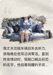良心推荐婚后丈夫装哑巴后我放飞了小说试读-暗夜阅读网
