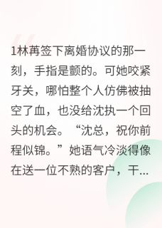 好书推荐离开以后他像是变了一个人林苒沈执全文在线阅读