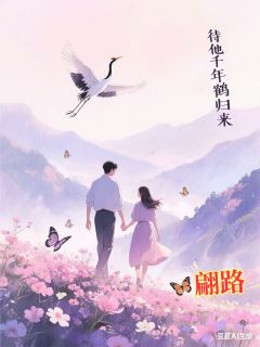 抖音小说待他千年鹤归来宋佳凌若初凌柏实全文txt