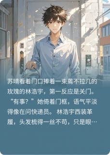 离婚后，老公悔哭了，追妻火葬场[抖音]小说-林浩宇苏晴无删减阅读-暗夜阅读网