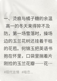 玉兰落满整个青春精彩小说-玉兰落满整个青春目录阅读