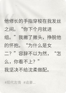 迢迢不相逢小说容辞沈柔沈译免费阅读