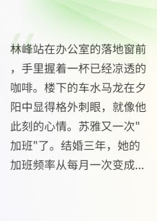 她说要离婚,我说好,然后她疯了(林峰苏雅)精彩小说目录阅读-暗夜阅读网