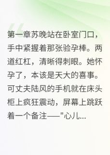 免费完结小说小三上门时我刚验出怀孕苏晚陆风无弹窗免费阅读-暗夜阅读网