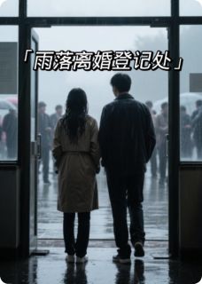 抖音爆款雨落离婚登记处小说免费阅读