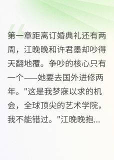 分手一年她坐轮椅回来了小说江晚晚许君墨沈默最新章节阅读-暗夜阅读网