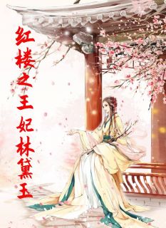 独家红楼之王妃林黛玉,林如海穿贾政小说-主角黛玉贾政元春全文免费阅读-暗夜阅读网