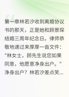 【前夫公司倒闭求我出手相救】小说在线阅读-前夫公司倒闭求我出手相救免费版目录阅读全文-暗夜阅读网