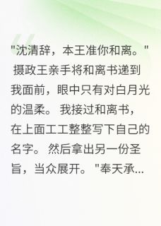 休夫三日,王爷哭成了狗免费阅读全文,主角燕北渊沈清辞小说