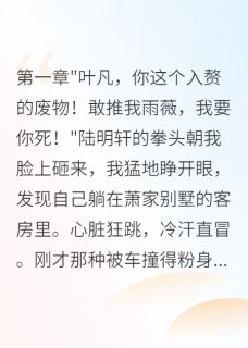 快手热文妻妹污蔑我推她下楼我有监控打脸萧雨薇萧语嫣叶凡小说推荐