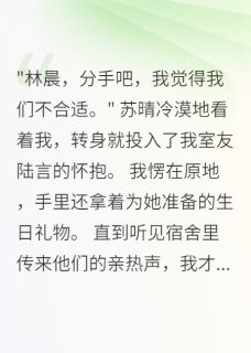 苏晴陆言林晨全文最新章节正版小说免费阅读