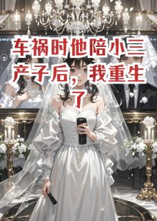 【车祸时他陪小三产子后，我重生了】小说在线阅读-车祸时他陪小三产子后，我重生了免费版目录阅读全文-暗夜阅读网