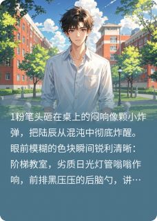 重生：我能听见冰山美女的心声陆辰苏晚小说_重生：我能听见冰山美女的心声完结版阅读-暗夜阅读网