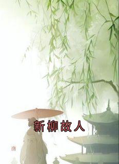 新柳故人赵明窈卫澄姜少瑜全章节在线阅读-暗夜阅读网