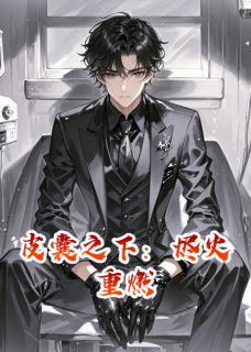快手热推皮囊之下：烬火重燃小说主角陆哲远苏晚晴顾彦辰在线阅读