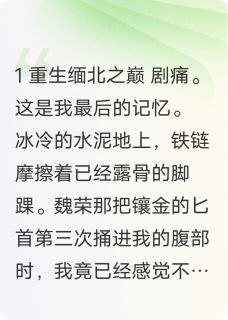 重生之血色缅北王琛林沐阳大结局在线阅读