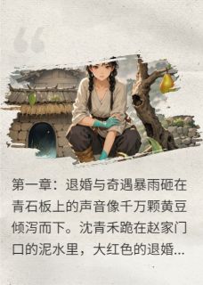 沈青禾萧战小说灵泉小农女，逆袭翻身记免费阅读