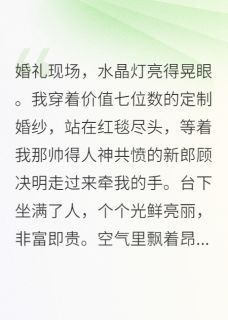 豪门太太不好当，我选择带球跑（全本）晓星顾决明林燃完整章节列表免费阅读