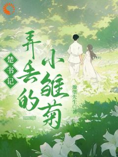 楚书记弄丢的小雏菊在哪免费看，简初楚淮序小说章节目录阅读