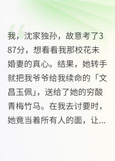 裴圭里写的小说高考状元偷我玉佩，还要哥们下跪陆鸣许幼微沈寂川全文阅读