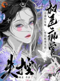 抖音爆款小寡妇另嫁，权臣疯骨失控完整小说（全文阅读）-暗夜阅读网