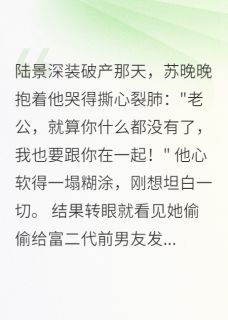 苏晚晚陆景深林城全文阅读最新 苏晚晚陆景深林城小说目录