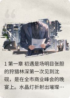 无声焰火全集小说_沈砚林深完结版阅读