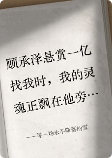 等一场永不降落的雪(全章节)-顾承泽裴商在线阅读-暗夜阅读网