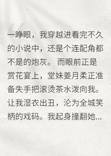 (独家)穿书搞钱指南：我靠抽奖养夫君姜月柔谢景行琉璃小说-暗夜阅读网
