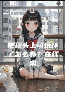 江湖人称大王的小说把顶头上司玩坏了怎么办？在线求全文阅读