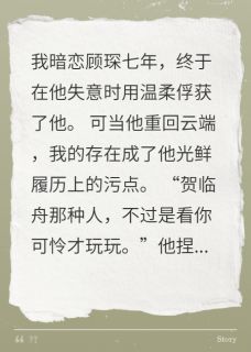 快手热文他冷暴力我？转身大佬极致宠贺临舟顾琛小说推荐-暗夜阅读网